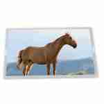 AUO-C120HAT01.3-12.0inch-1920x860-LVDS-TFT-LCD-PCAP-Touch-Antireflection-1