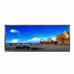 AUO-C123HAX04.0-12.3inch-1920x720-LTPS-TFT-LCD-In-Cell-Touch-LVDS-SPI